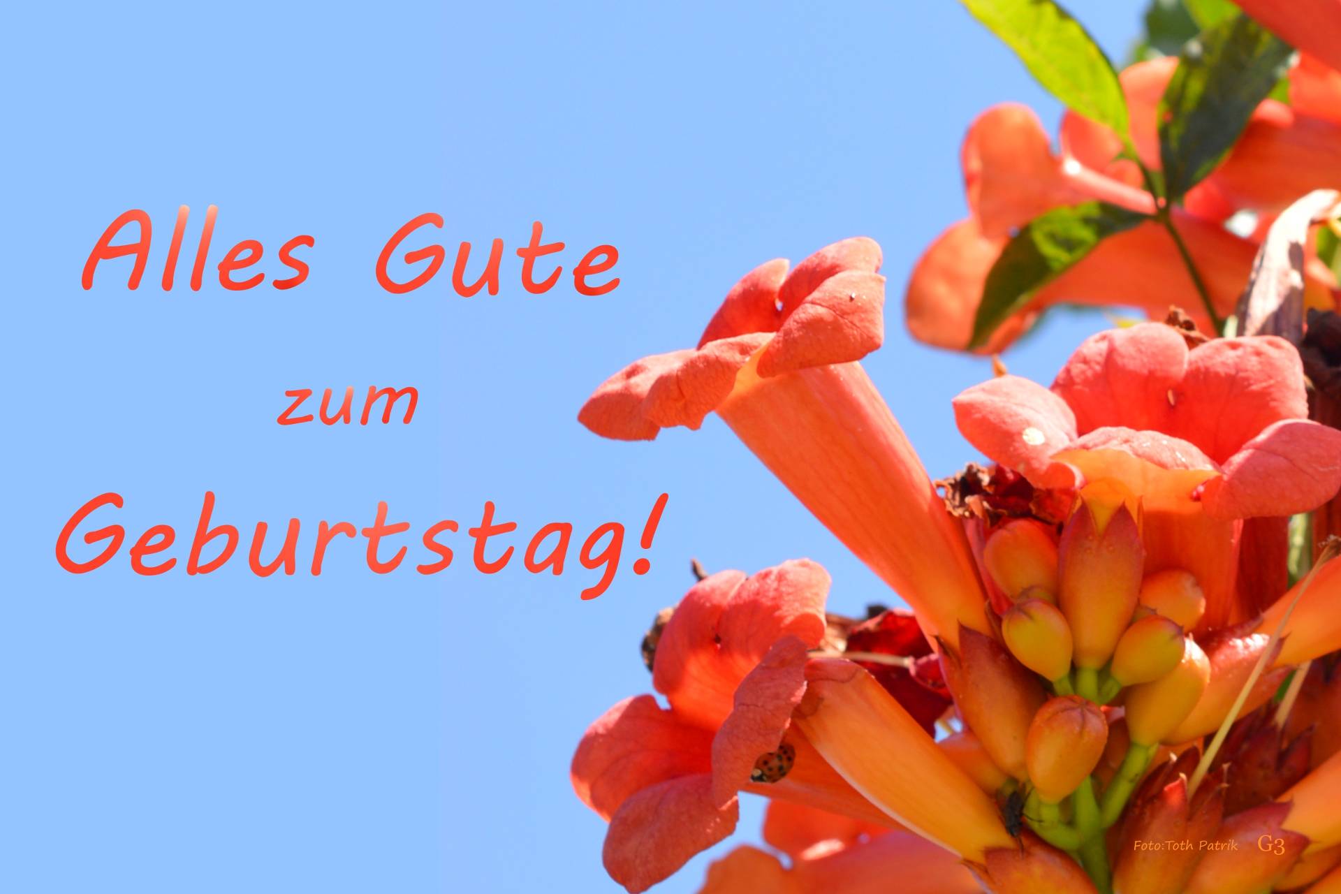G3 Postkarte
