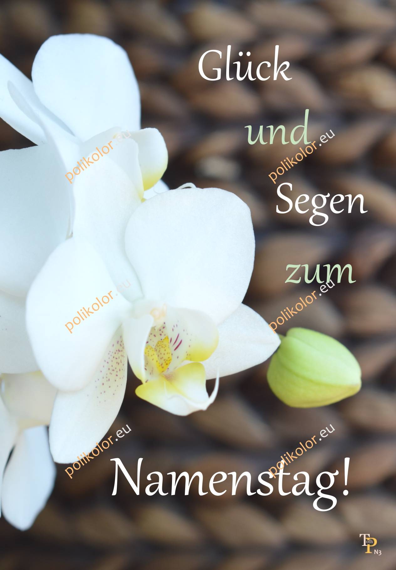 N3 Grußkarte