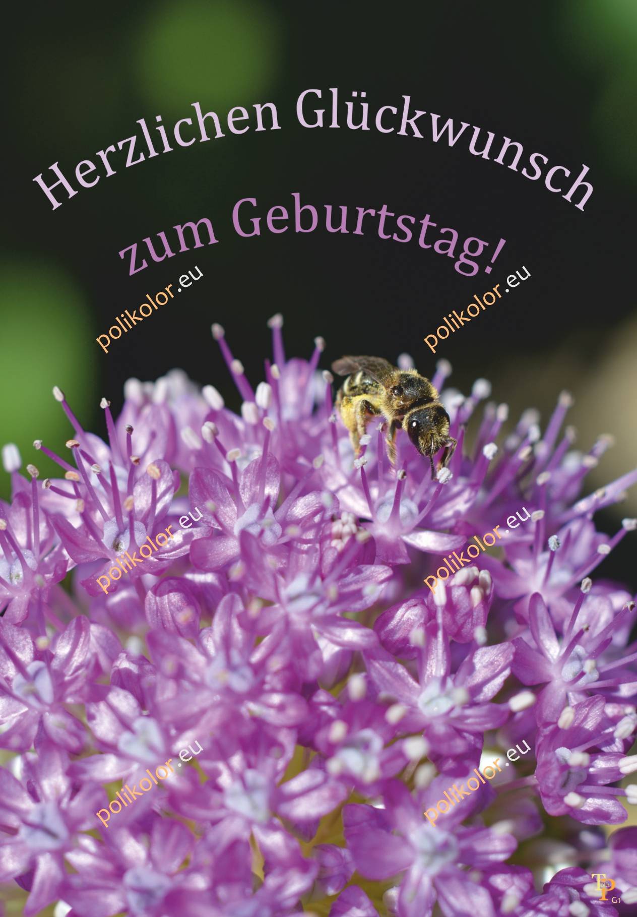 G1 Grußkarte